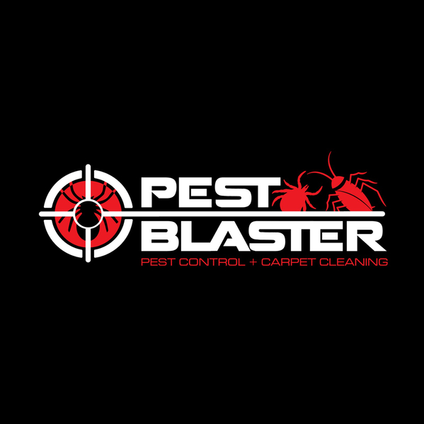 Cover photo of Pest Blaster - Pest & Termite Control Sydney